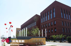 政策利好振翅高飛，天津七成軟企匯聚濱海新區(qū)領(lǐng)航軟件外包